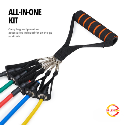 Resistance Bands Set for Exercise, Stretching and Workout Toning Tube Kit with Foam Handles, Door Anchor, Ankle Strap and Carry Bag for Men, Women (100LB)